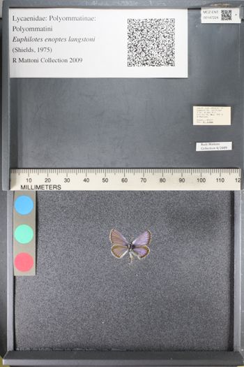 Media type: image;   Entomology 147224